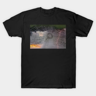 The Web We Weave T-Shirt